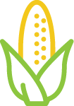 Corn