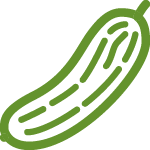 Cucumber