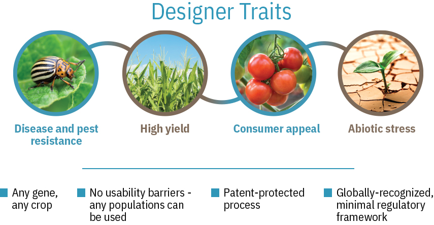 designer traits