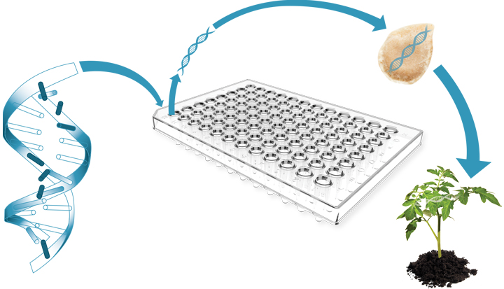 Deep Variant Scanning (DVS),