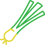 Leek