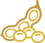 Soybean
